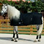 HorZe Horse Blankets, Sheets & Coolers