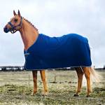 HorZe Horse Blankets, Sheets & Coolers