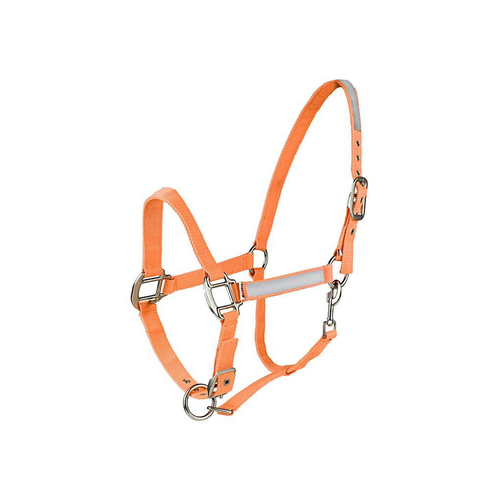 Horze Reflective Halter