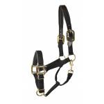 Gatsby Premium Nylon Halter with Padded Leather Overlay