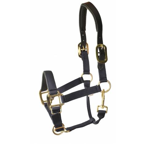 Gatsby Premium Nylon Halter with Padded Leather Overlay