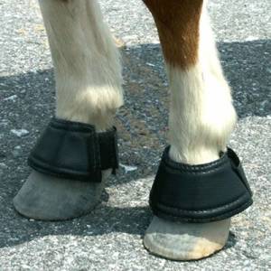Intrepid Miniature Horse Hook & Loop Closure Neoprene Bell Boots
