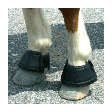 Intrepid Miniature Horse Hook & Loop Closure Neoprene Bell Boots