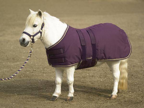 Kensington Turnout Blanket - Mini