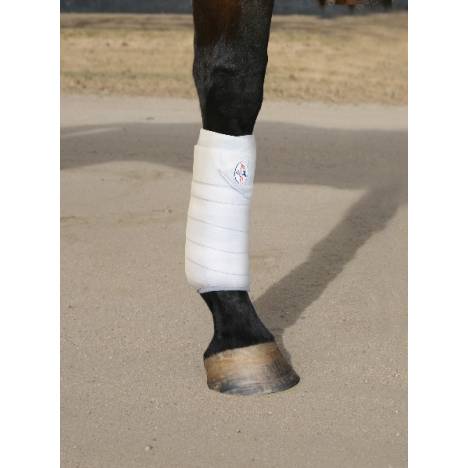 The Professionals Choice Combo Bandage