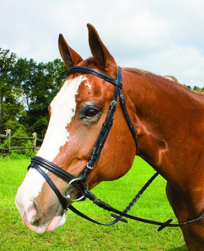 Perris Premium Leather Padded Bridle with Removable Flash