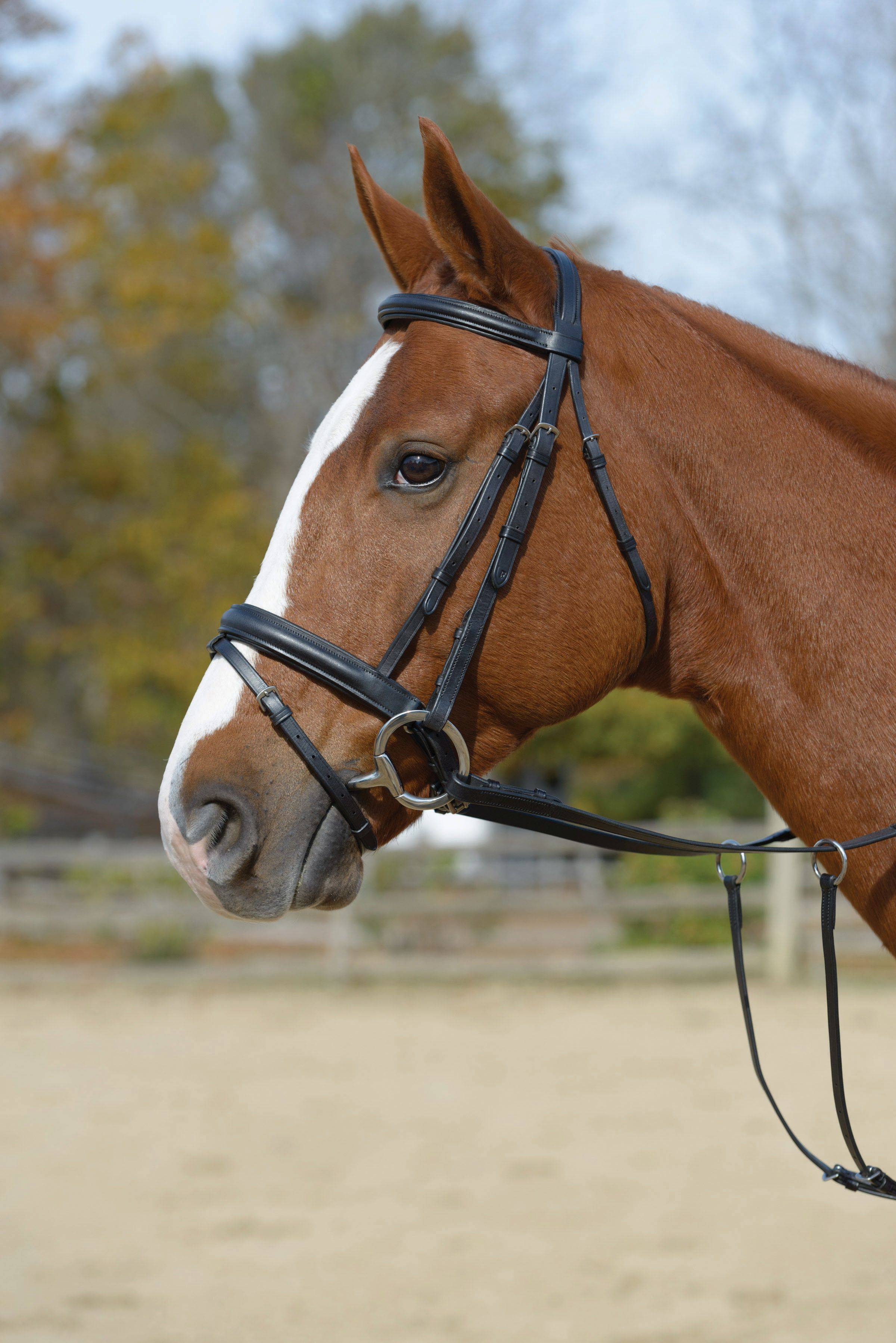 Shires Padded Flash Bridle