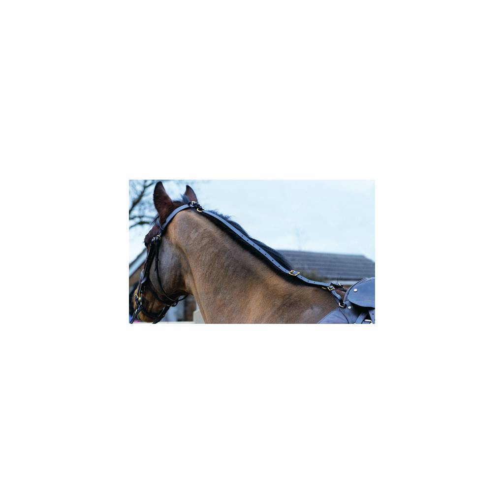 Shires Nylon Daisy Rein