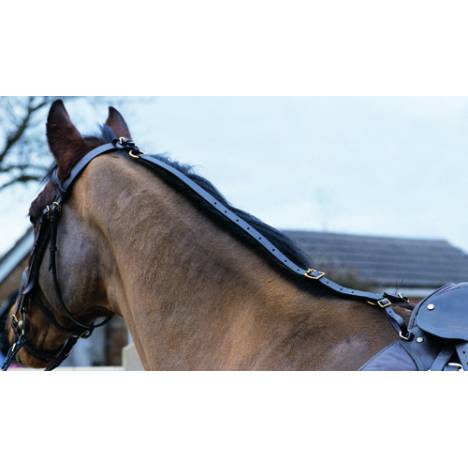 Shires Nylon Daisy Rein