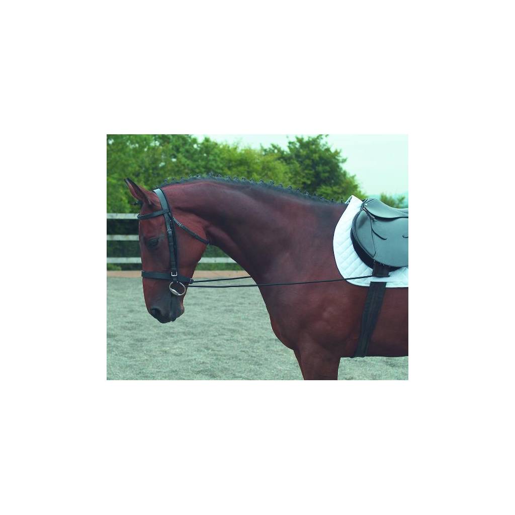 Shires Elastic Draw Rein