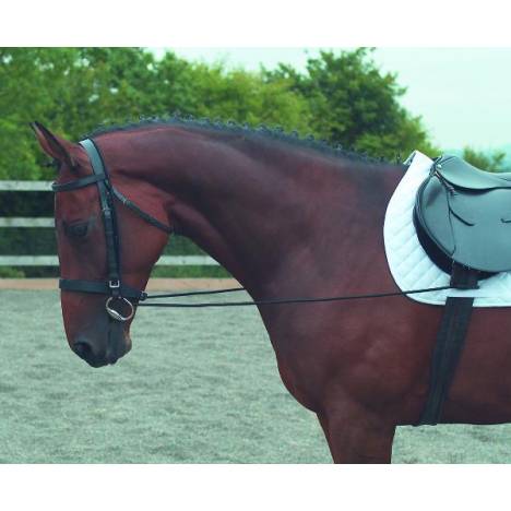 Shires Elastic Draw Rein