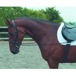 Shires Horse Training Aids