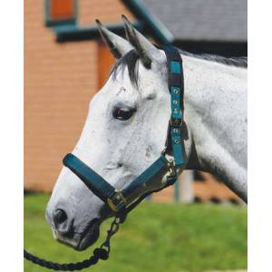 Shires Equestrian  Replacement Breakaway Leather Tabs