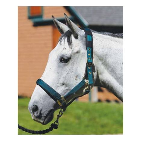 Shires Equestrian Replacement Breakaway Leather Tabs