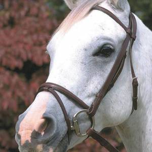 Stubben Lined Snaffle Bridle with Flash Noseband