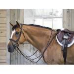 OEQ Standing Martingales
