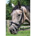 Thornhill English Horse Tack