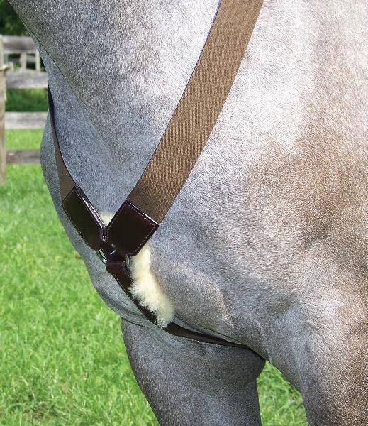 Pro-Trainer Elastic Breastplate