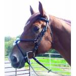 Pro-Trainer English Horse Bridles