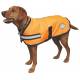 Weatherbeeta Reflective Parka 300D Dog Coat