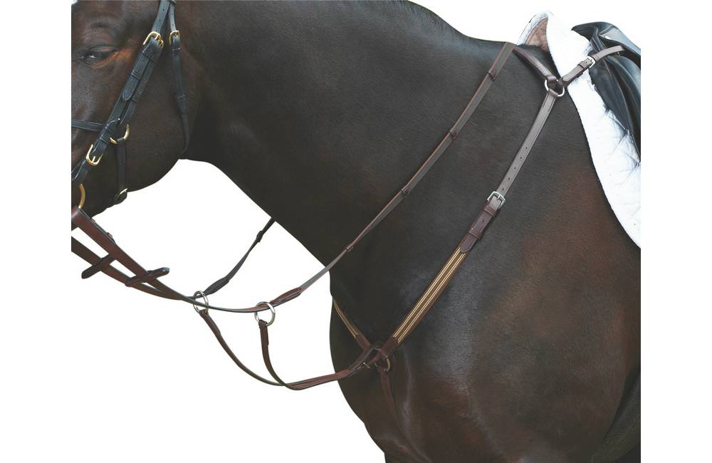 Collegiate Elastic Breastplate Removable | EquestrianCollections