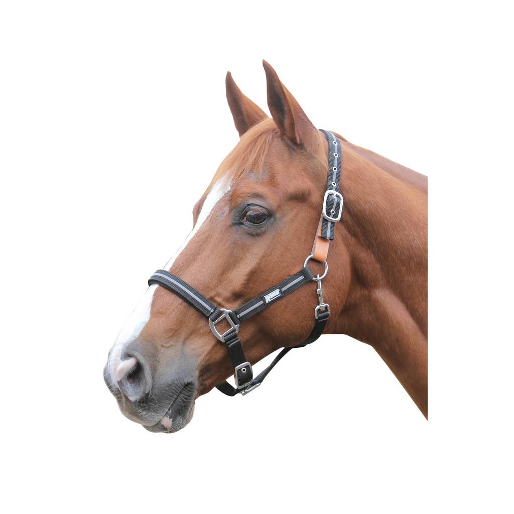 Roma Reflective Breakaway Halter